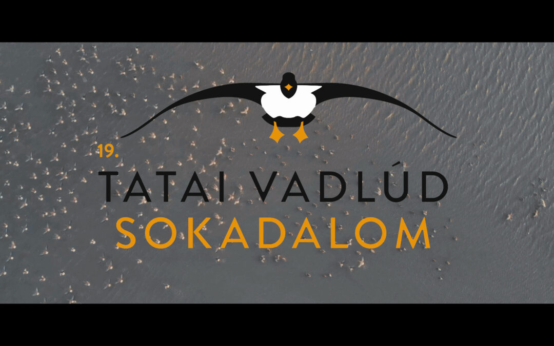 Official aftermovie of the 19th Wild Geese Festival in Tata